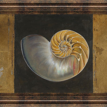 Seashells Il By Patricia Pinto - Framed Print Wall Art - Gold