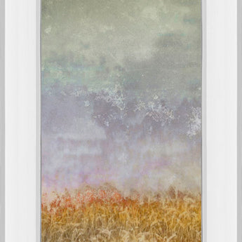 Lush Field Il By John Butler - Mirror Framed Print Wall Art - Dark Gray