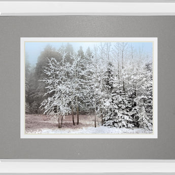 Frosty Morning By Mike Jone - Mirror Framed Print Wall Art - Gray