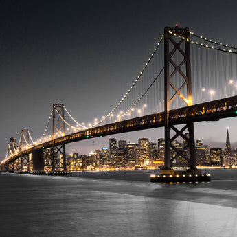Temp Glass With Foil - San Francisco Bridge - Dark Gray