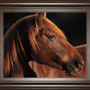 Pretty Girl By Caro - Framed Photo Print Wall Art - Dark Brown