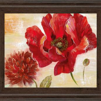 Passion For Poppies Il By Nan - Framed Print Wall Art - Red