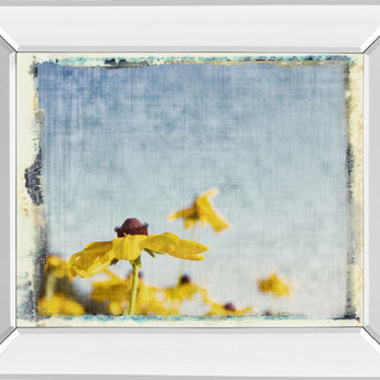 Blackeyed Susan's I By Meghan Mc Sweeney - Mirror Framed Print Wall Art - Light Blue