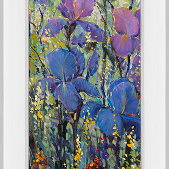 Iris Field Il By Tim Otoole - Mirror Framed Print Wall Art - Purple