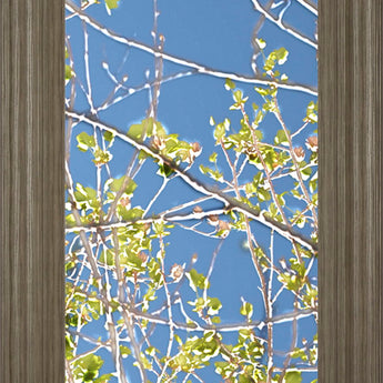 Spring Poplars IV By Sharon Chandler - Framed Print Wall Art - Light Blue