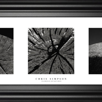 Elements Of Nature 2 By Chris Simpson - Framed Print Wall Art - Black