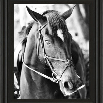 Derby I By Susan Bryant - Framed Print Wall Art - Dark Gray