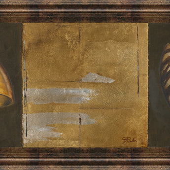 Seashells I By Patricia Pinto - Framed Print Wall Art - Gold