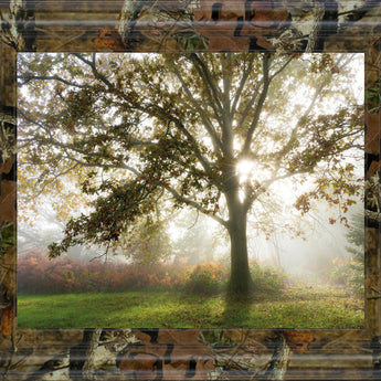 Morning Calm By Lee Frost - Framed Print Wall Art - Green