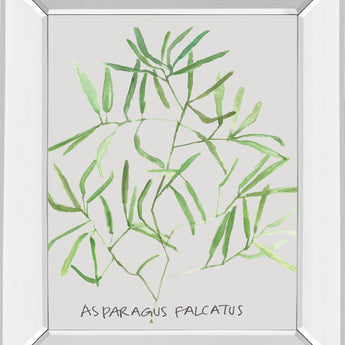 Asparogus Falcatus By Katrien Soeffers - Mirror Framed Print Wall Art - Green