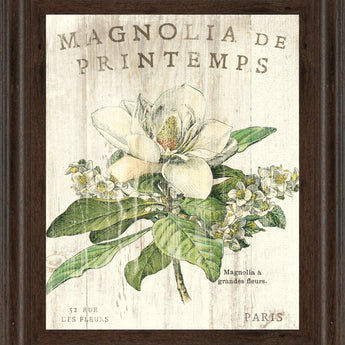 Magnolia De Printemps By Sue Schlabach - Framed Print Wall Art - Beige
