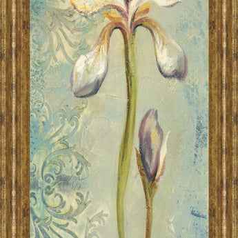 Floral Xi By Lee Hazel - Framed Print Wall Art - Light Blue