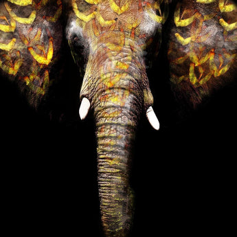 Floating Tempered Glass With Foil Elephant - Black