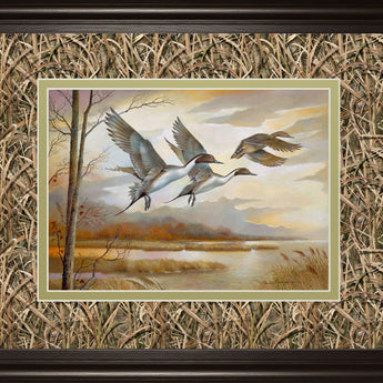Pintails By Ruanne Manning - Light Brown