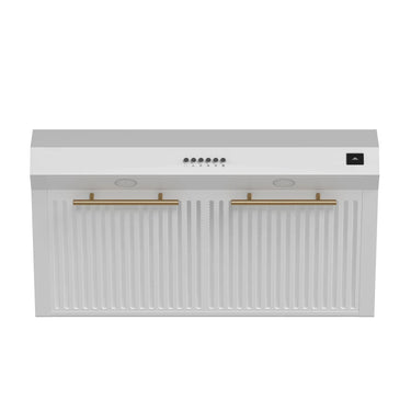 Quality Home Bari Espresso 30" Range Hood, White - FRHUC5255-30WHT