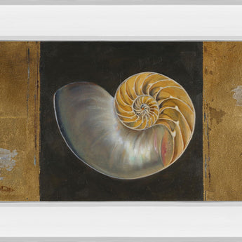 Seashells Il By Patricia Pinto - Mirror Framed Print Wall Art - Gold