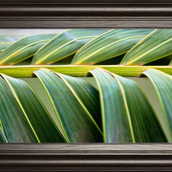 Palma I By Susan Bryant - Framed Print Wall Art - Green