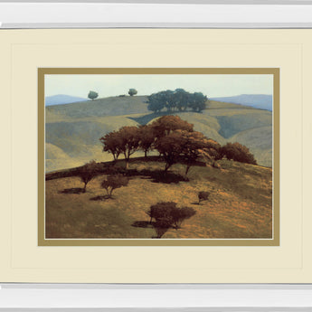 Hills Near Chico By N. Bohne - Mirror Framed Print Wall Art - Light Brown