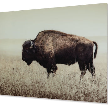 Brutus - Wall Art - Sepia