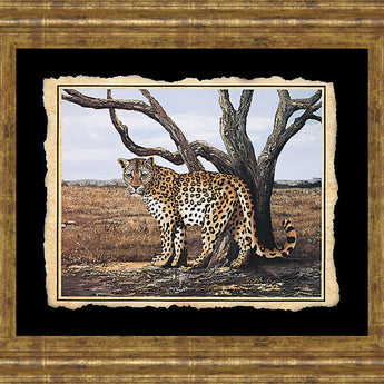 Cheetah - Framed Print Wall Art - Beige