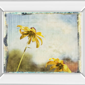 Blackeyed Susan Il By Meghan Mcsweeney - Mirror Framed Print Wall Art - Light Blue