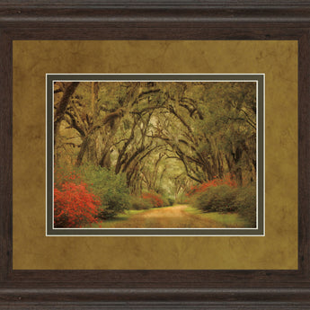Road Lined With Oaks & Flowers By William Guion And Mossy Oak Native Living - Framed Print Wall Art - Green