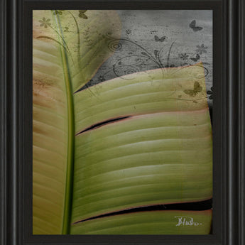 Butterfly Palm Il By Patricia Pinto - Framed Print Wall Art - Green