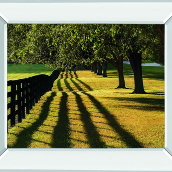 Chasing Shadows By Mike Jones Mirror Framed Print Wall Art - Green
