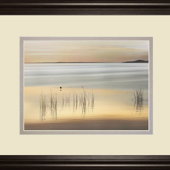 Golden By Marvin Pelkey - Framed Print Wall Art - Beige