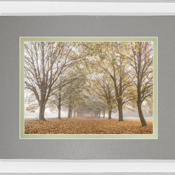 Autumn's Peace By Frank A - Mirror Framed Print Wall Art - Dark Gray