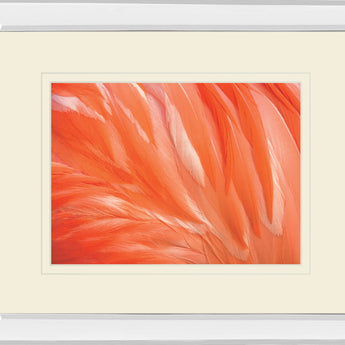 Danza De La Pluna By Ortegam X. Mirrored Frame - Red