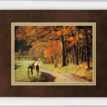 Autumns Morning Light By D. Burt - Mirror Framed Print Wall Art - Orange