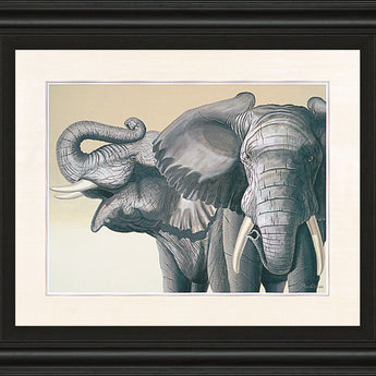 Elephant By Peter Moustakas - Framed Print Wall Art - Dark Gray