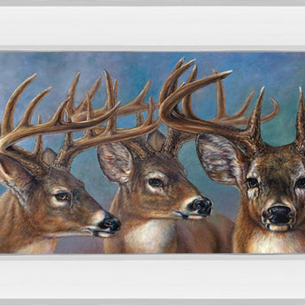 Five Bucks By Carolyn Mock - Framed Print Wall Art - Blue