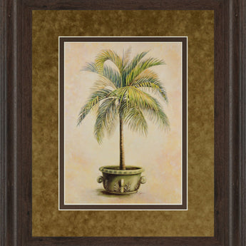 Potted Palm Il - Framed Print Wall Art - Light Brown