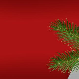 Christmas Financing Options