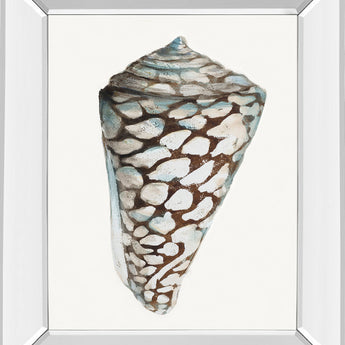 Modern Shell With Teal Il By Patricia Pinto - Mirror Framed Print Wall Art - White