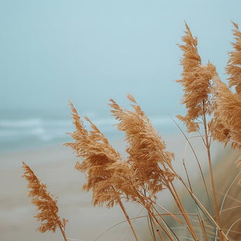 Blowing In The Wind - Light Blue