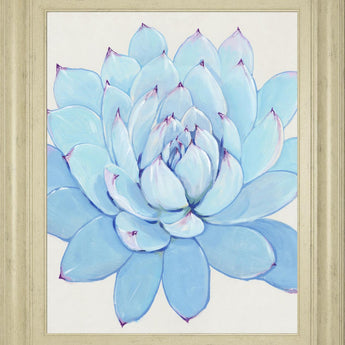 22x26 Pastel Succulent II By Tim OToole - Light Blue