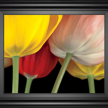 Sunshine Tulips By Frank, A. - Framed Print Wall Art - Yellow
