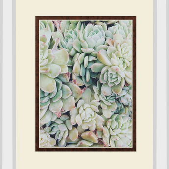 Translucent Succulents By Chelsea Kedron Mirrored Frame - Green