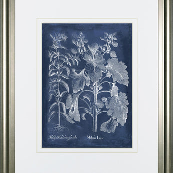 34x40 Besler Leaves in Indigo I By Vision Studio - Blue