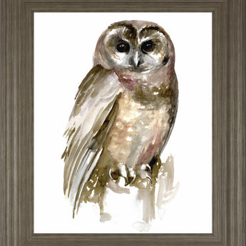 22x26 Watercolor Owl II By Jennifer Paxton Parker - Dark Gray