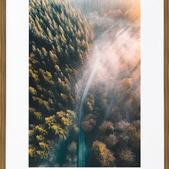 Pinebound Light II - 24 X 32 - Framed Print Under Glass - Green