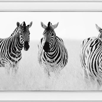 Meeting Place By Papiorek N - Mirrored Frame Wall Art - Gray