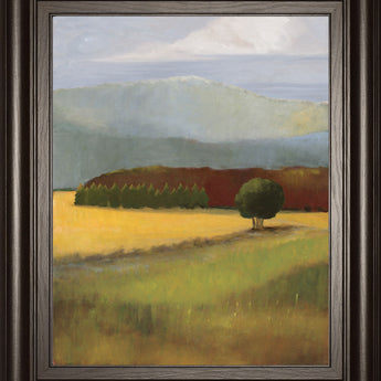 Field Of Gold By Judith D'agostino - Framed Print Wall Art - Green