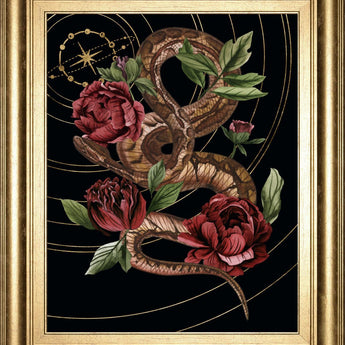 22x26 Burn and Shine II By Melissa Wang - Black