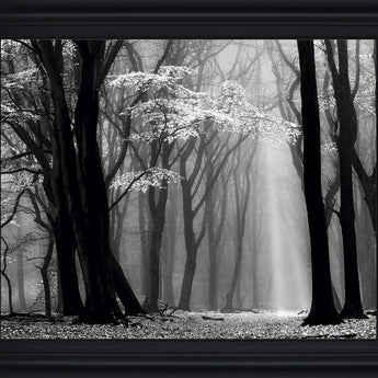Silent Grove Shadows - 28" x 34" Framed Wall Art - Dark Gray