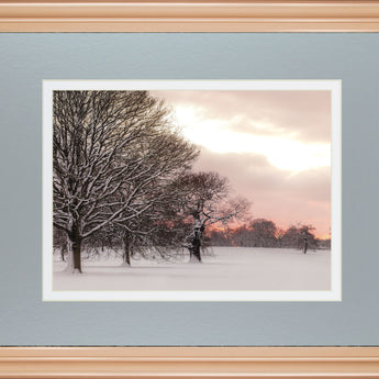 Rosy Sunset By Frank Assaf - Framed Print Wall Art - Gray