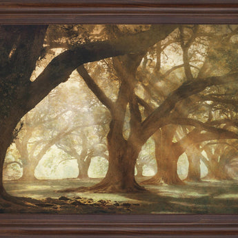 Sunlit Grove Serenity - 28" x 34" Framed Wall Art - Dark Brown
